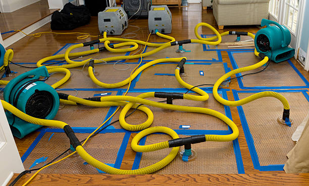 Professional Water Extraction technician working in Randolph, MA